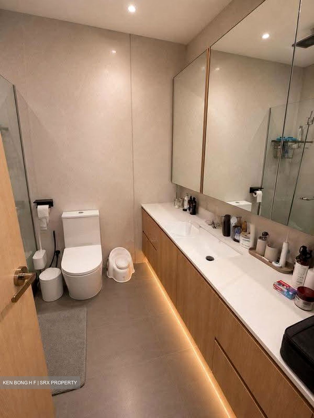 Signature Park (D21), Condominium #609124461